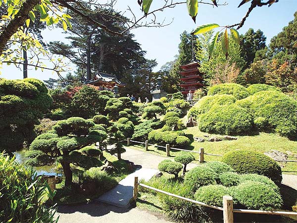 Golden Gate Park in the day time.