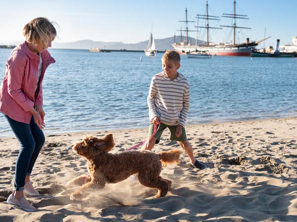 Kids on the beach with a dog.