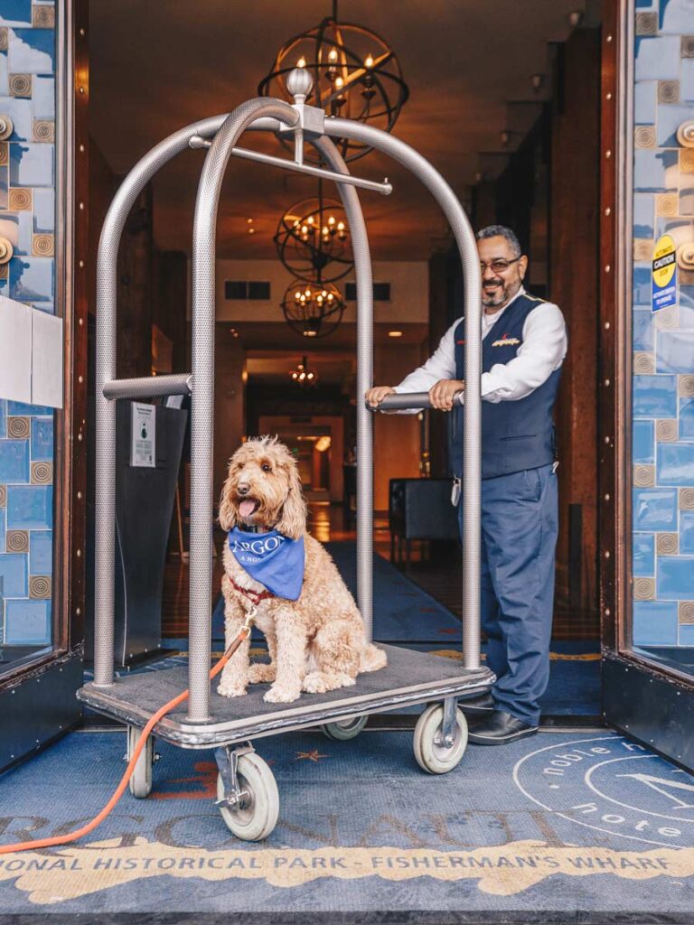 Dog On A Luggage Cart